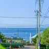 Profile image of 셰들레츠키