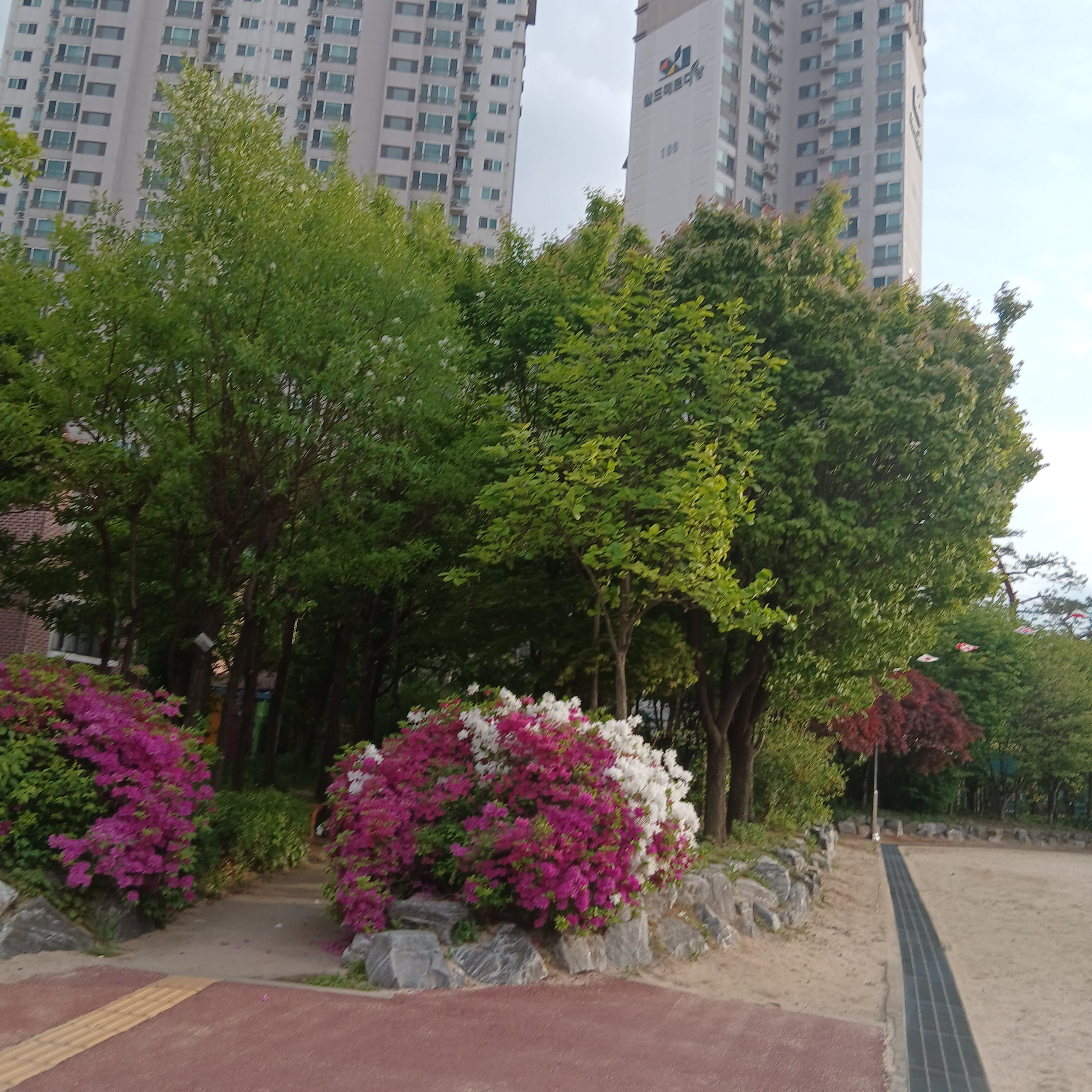 최면기생충 대표 이미지
