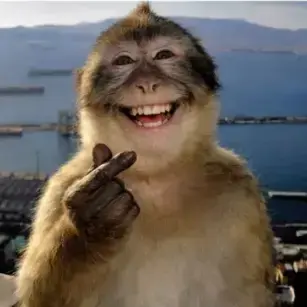 Profile image of 늑대