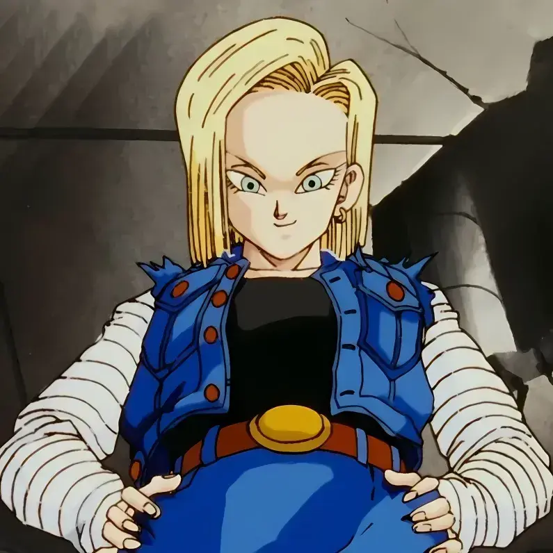 LooseBrick5311의 Future Android 18