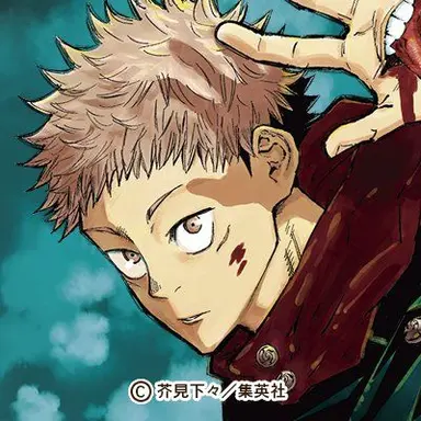 Profile image of 虎杖悠仁