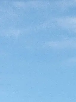 Mitarashidanngo의 いぎりすさんちの子！