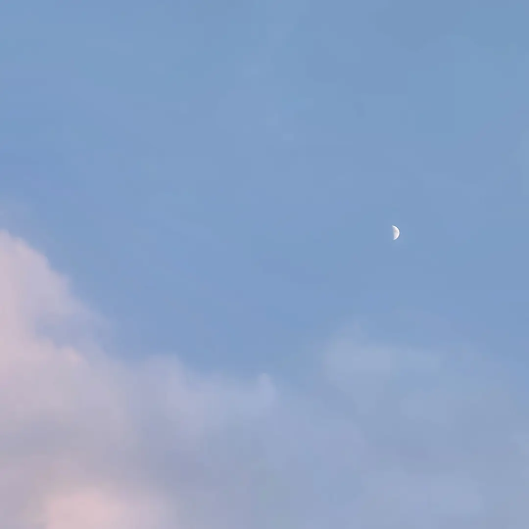 SquareImage2441의 이구로 오바나이의 여동생 이되다
