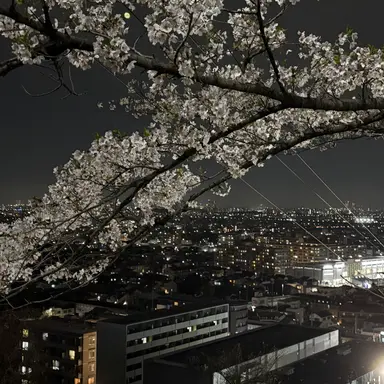 Profile image of じょう