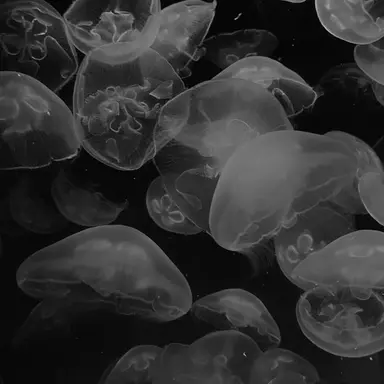 Profile image of 김민재