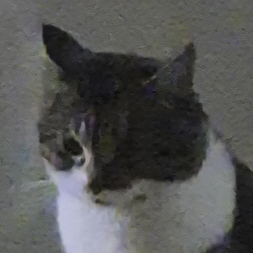 나비