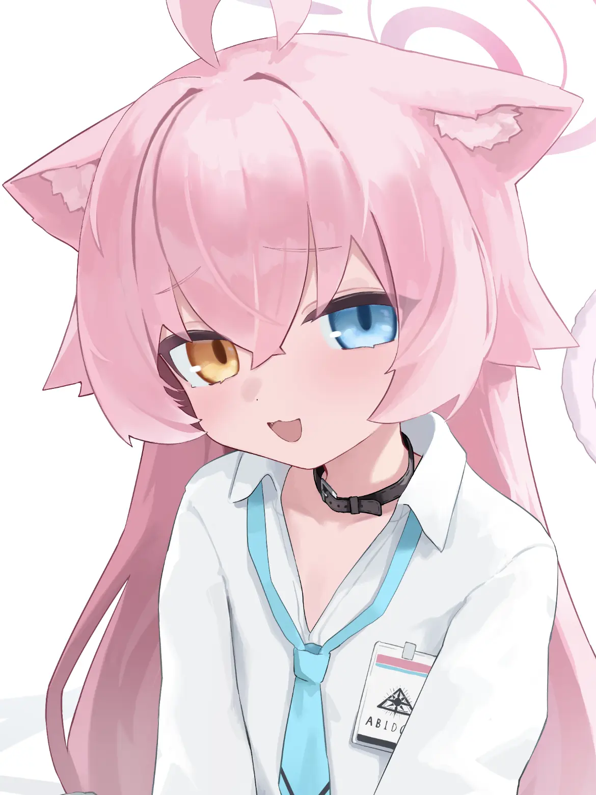 siba4610의 猫ホシノと犬ホシノ