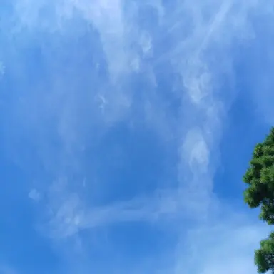 Profile image of 부산조