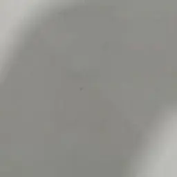 BoringSnore4299의 空が猫になった……