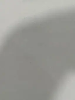 BoringSnore4299의 空が猫になった……