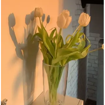 Profile image of 공룡