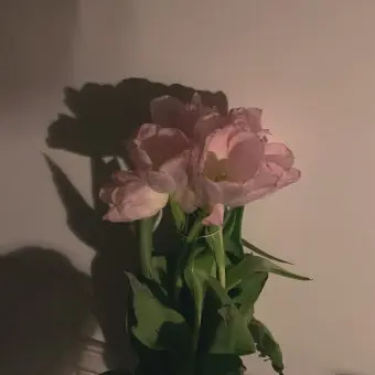 Profile image of 예진