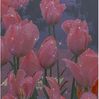 Profile image of 라더