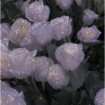 Profile image of 수현