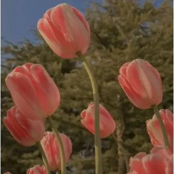 Profile image of 혜주