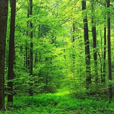 Profile image of 오뉴