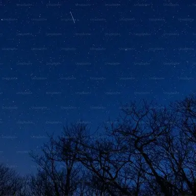 Profile image of 잭