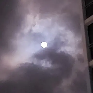 Profile image of 나이트