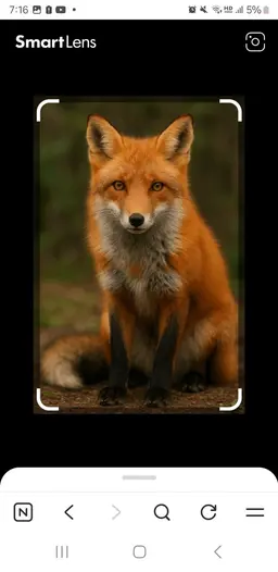 Profile image of Wolf and Fox Group