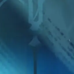 Profile image of 이다메