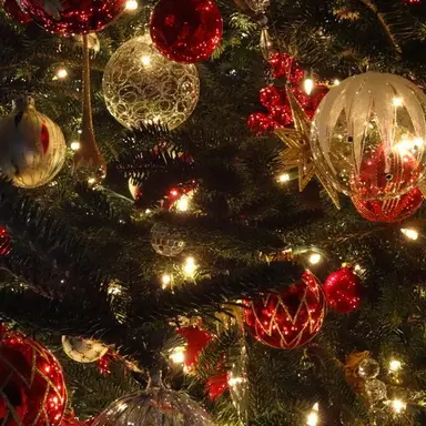 Profile image of 이상혁