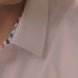 홍시우