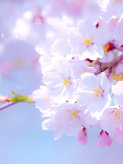 hugamaru13의 卒業式当日に推しが来た！！？