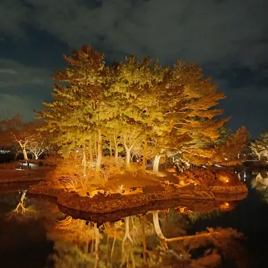 Profile image of 카루네 샤츠