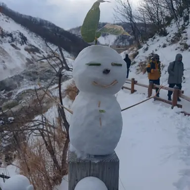 Profile image of 하린