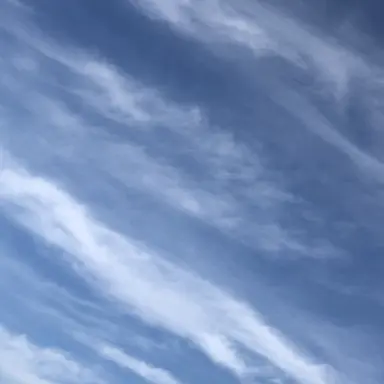 Profile image of 세드릭 디고리