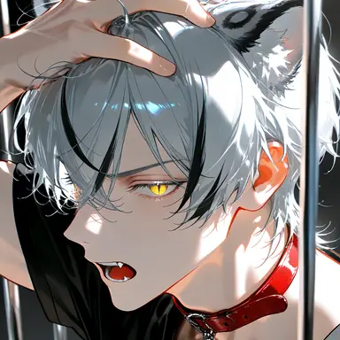 Profile image of シュエヤ