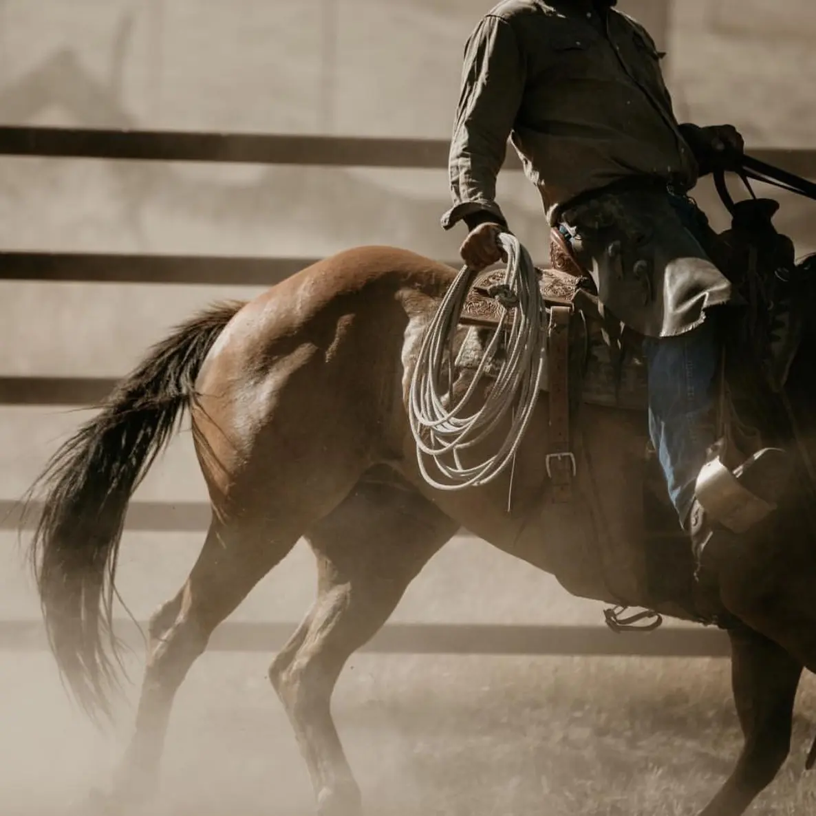 WittyMoss3567의 vampire x cowboy