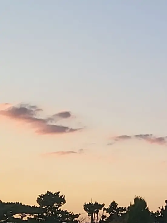 Goudacheese1225의 픽셀리×환생동물학교