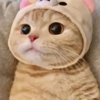 Profile image of 김 소윤