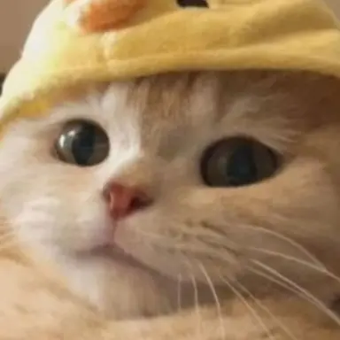 Profile image of 유 아연
