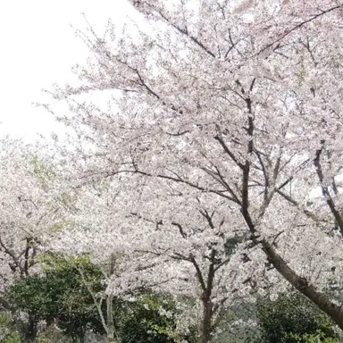Profile image of 주인장