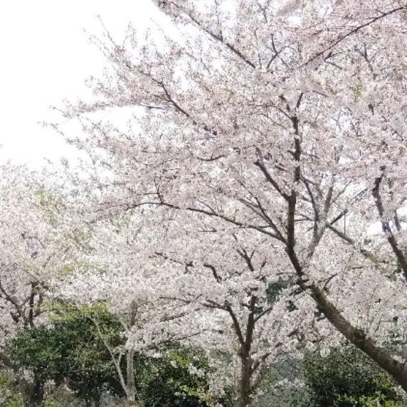 RuralFlare7869의 이밴트!!!