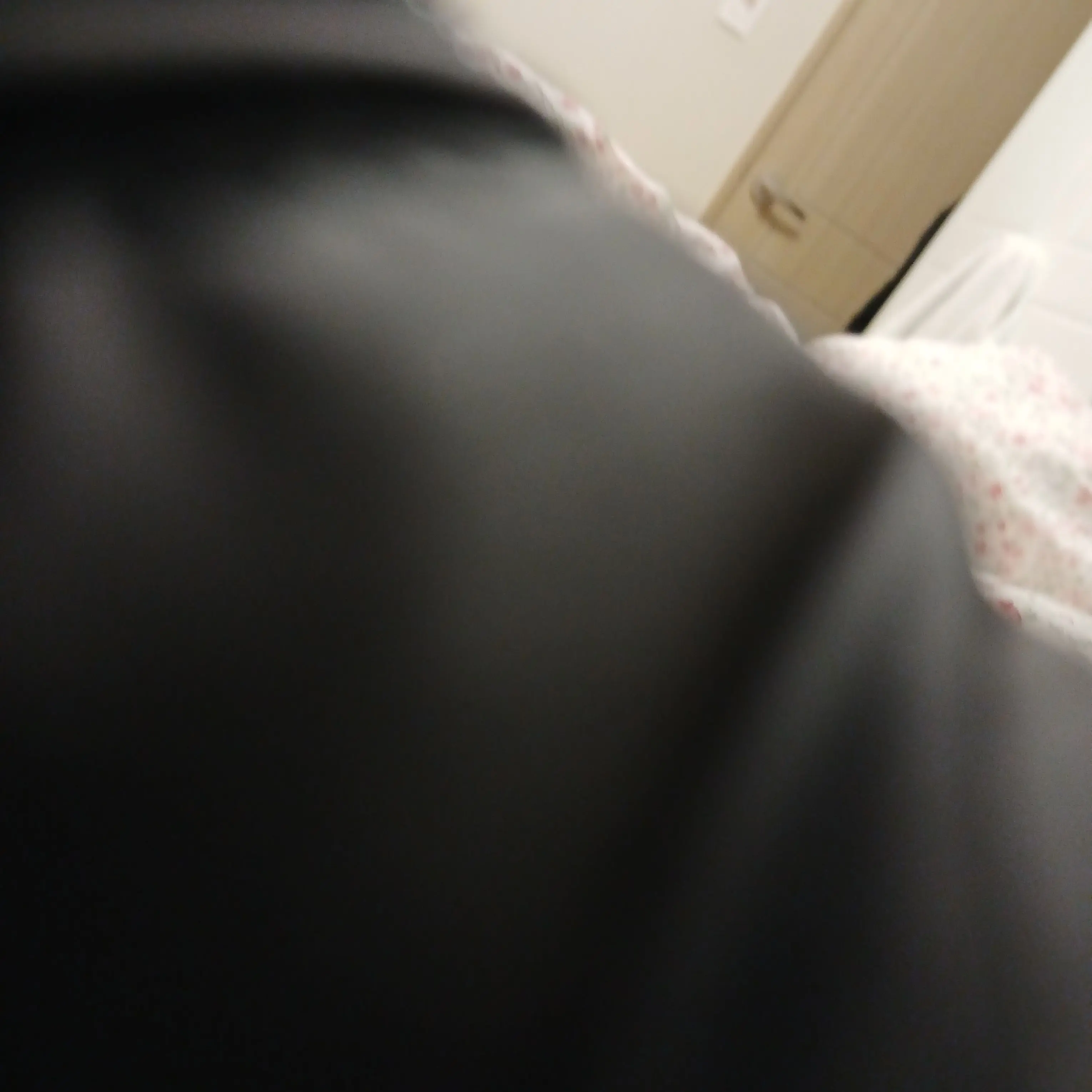 OverlyCamel9133의 유유타이거여행