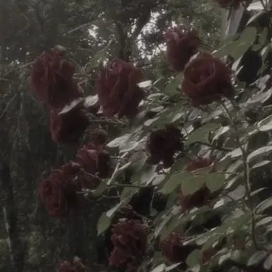 Profile image of 플래그