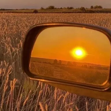 Profile image of 코마