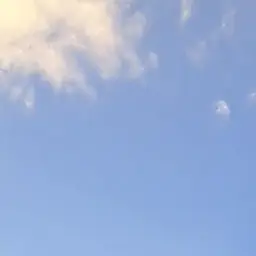 TallPilot1561의 人気俳優噂のSさんに愛されています！？