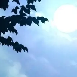 sleepprrrr의 공지!