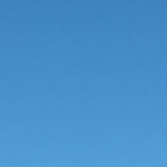 レオ