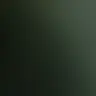 Profile image of ㅊㅌㅈ