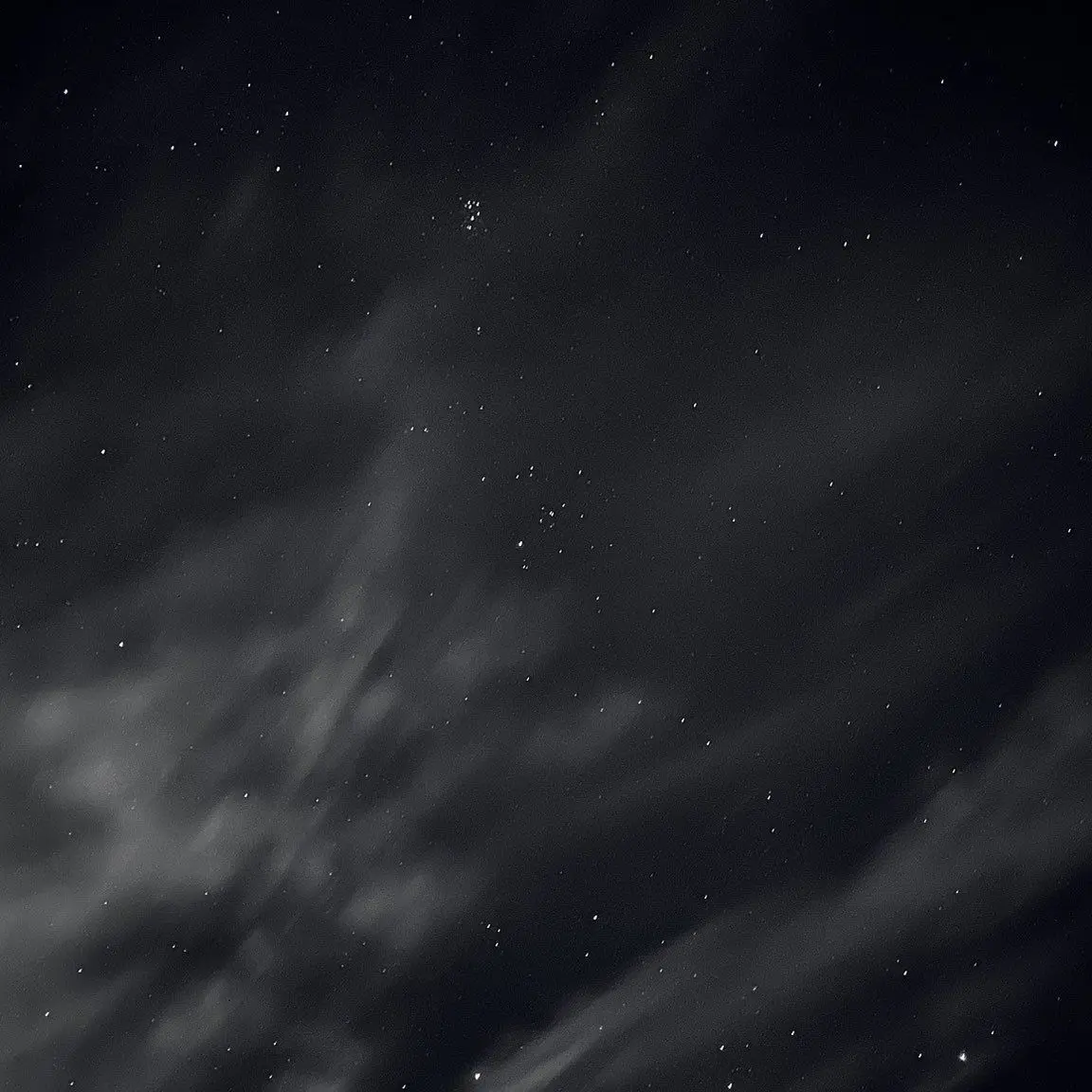 SlimyAnise5569의 あ