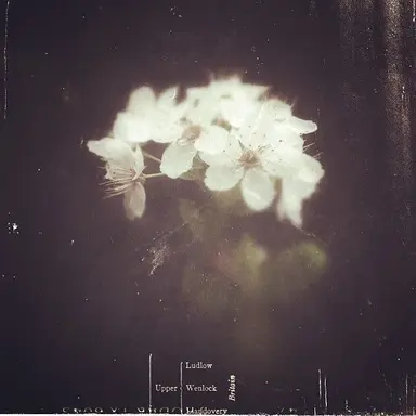 Profile image of 문세헌