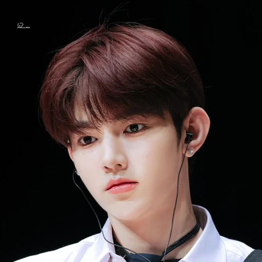 의붓 오빠장하오