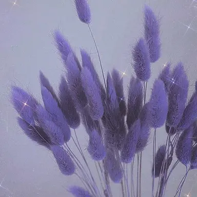 Profile image of 필립