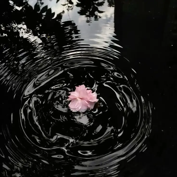 Soleye의 서로 죽이는 사이