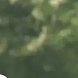 이지훈